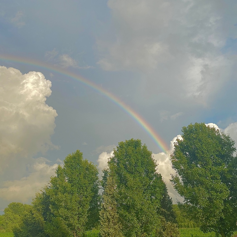 Meet your Posher, Kiley